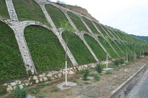 1591106266281341.jpg 護坡工程2.jpg